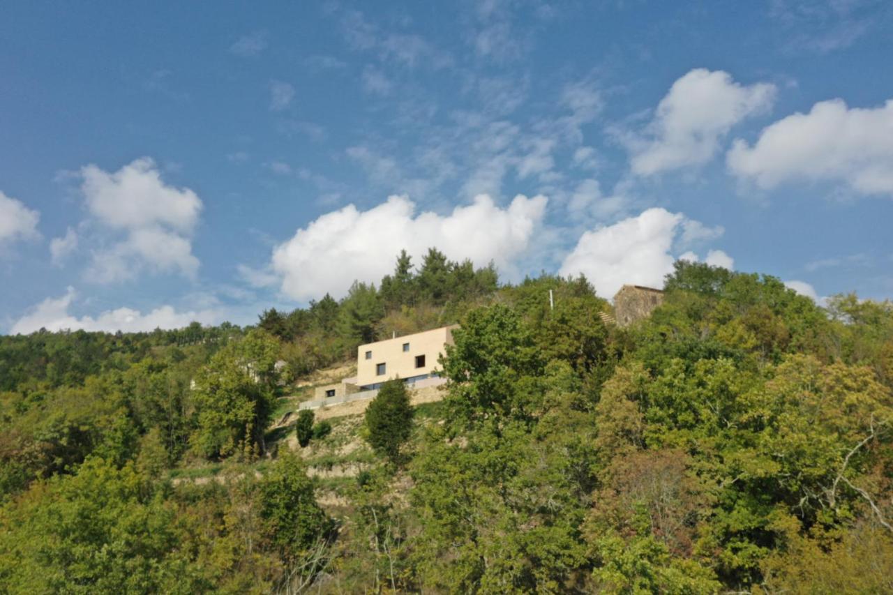 Terra Motovun
